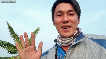 tiếp tục quay lại kênh huyền thoại tại tân phú đông tiền giang câu cá lóc#huynhpham #fishing