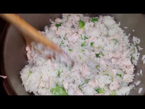 home-made-chicken,-rice-&-broccoli-meal-for-dog---bland-diet-for-upset-stomach