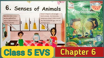 Ch 6 : Senses of Animals | Class 5 EVS | Let