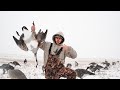 Goose Hunting 2019 - RARE Goose Shot!