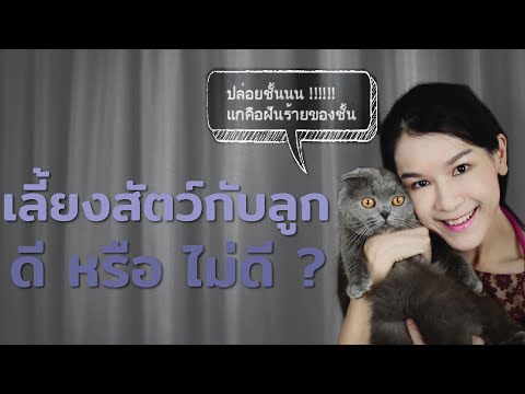 วีดีโอ: เด็กและสัตว์เลี้ยง: การแชร์เตียงปลอดภัยหรือไม่?