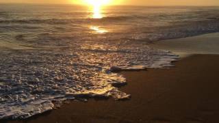 Outer Banks Sunrise Kill Devil Hill, NC - October 20, 2016