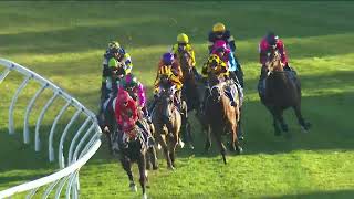 The Shorts 2026 - MAZU (3YO+ SWP G2) Group 2 Randwick 19 September