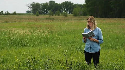 Postcards: Lauren Carlson