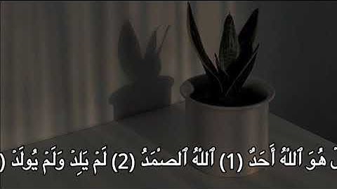 تلاوه سوره الاخلاص بصوت |ماهر المعيقلي |