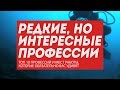 10 редких профессий: топ увлекательных мест работы