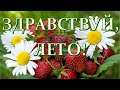 Здравствуй, Лето! С добрым летним утром, музыкальная открытка для друзей