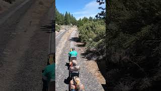 Busy Rails At Train Mountain