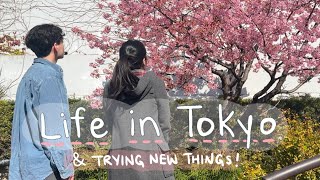 our life in Tokyo | bento box & sushi making, cafés, and a night in Ginza | living in Japan