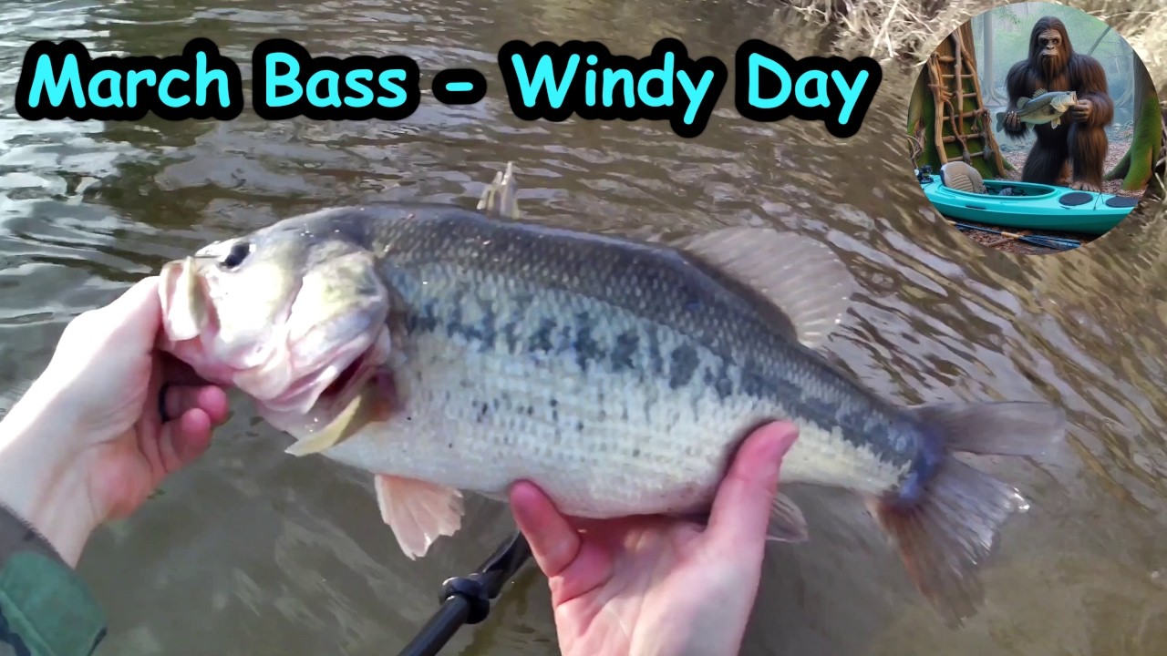 Bass fishing on a windy day in March!
