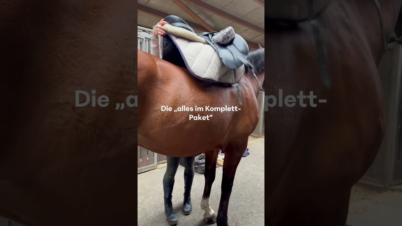 🐴🤷‍♀️ 7 Arten zu satteln - erkennst Du jemanden wieder? 😆
