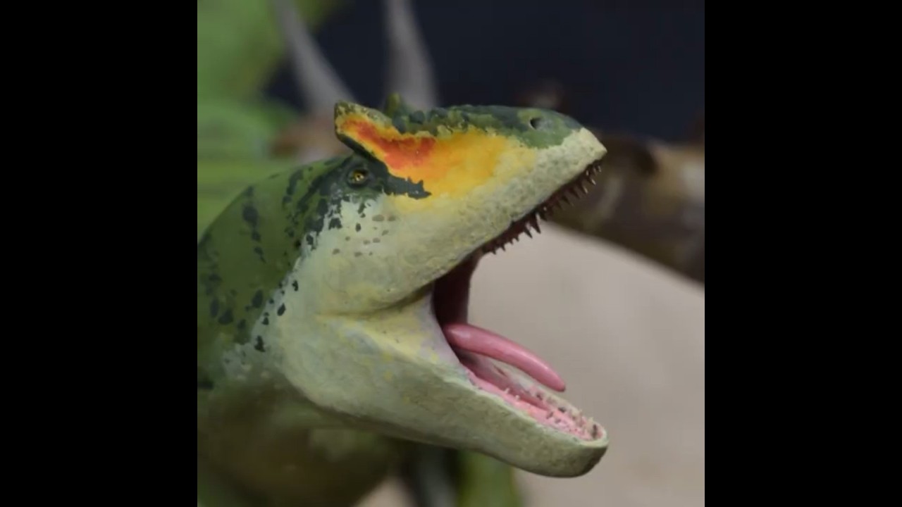 Allosaurus vs Stegosaurus 