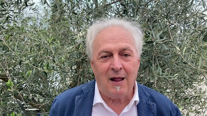 Raccolta olive: ecco i fattori che determinano la resa. Ma da fine ottobre l'olio non aumenterà più