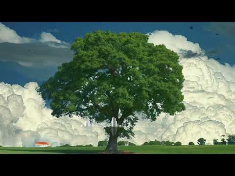 انشودة انشر شذى الرحمات أميرة