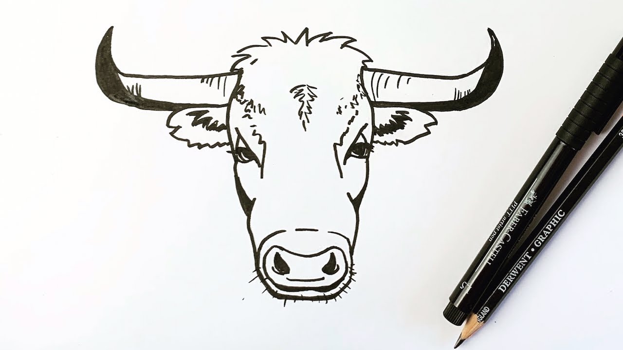 Amazing How To Draw A Bull Head in the world Don t miss out 