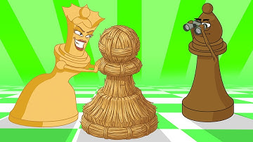 Learn The Best Ways To Use Decoy