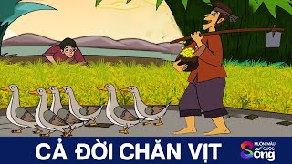 Truyện cổ tích Việt Nam - CẢ ĐỜI CHĂN VỊT - Truyện cổ tích - Phim hoạt hình - Tổng hợp hoạt hình hay