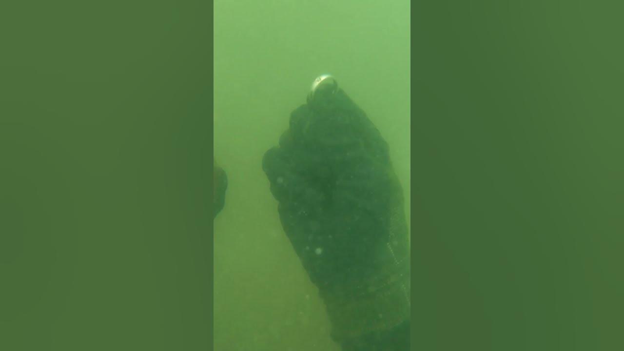 🤯 Treasure Hunting RECORD! YouTube