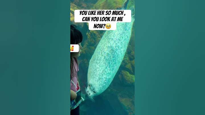 Seal @ haiyukan osaka #travel #osaka  #seal