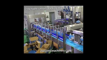 Drop typle cartons packing machine