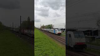 flash lights 🚨 #lineas #cargo #train #railway #trainspotting #traxx