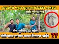 How can an agarwood tree be worth over a lakhs rupees assamesevlog agarwood