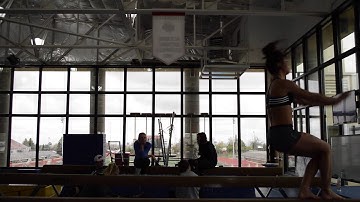 Motor Learning - Feedback