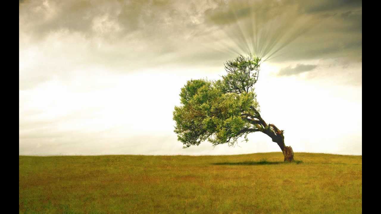 dream scene animated wallpapers desktop background read wallpapers and backgrounds