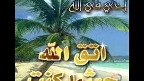 سورة القيامة تلاوة حجازية لأبو حسين.wmv