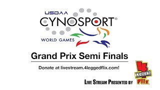 Cynosport World Games 2018: Grand Prix Semi Finals (Ring 1) screenshot 4