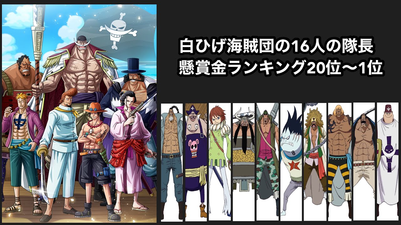 Onepiece ワンピース 白ひげ海賊団16人の隊長の懸賞金ランキング位 1位を予想知って行きます Youtube