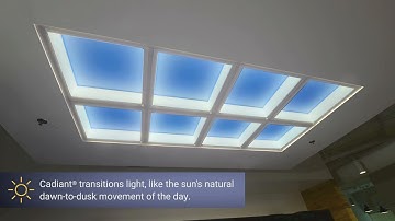 Cree Lighting® Cadiant® Dynamic Skylight Dawn-to-Dusk Timelapse
