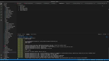 ASCII Canvas - Golang