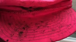 Black Mold Clean on a Vintage Hat