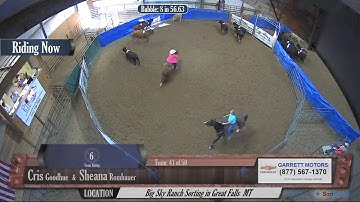 Big Sky Ranch Sorting Saddle Series #4 - #7 SORT - Round #1 - Ride #41