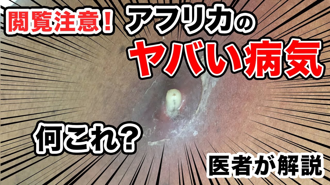 鎌倉・源氏山公園の観光完全ガイド！源頼朝像から葛原岡神社・ハイキング実態まで徹底解説
