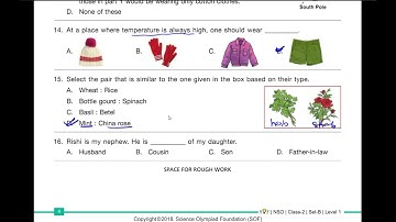 NSO Class 02 Paper 2019 Set B Solutions (Science Olympiad)