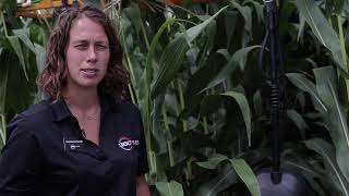 Targeting fungicide with 360 undercover