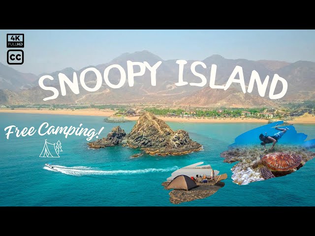 Travel vlog - Looking for FREE CAMPING DESTINATION IN UAE?  Visit Snoopy Island, Fujairah (English Subtitle)