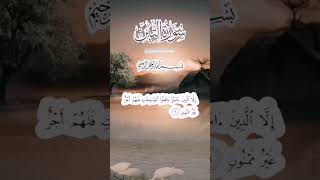 surah At tin || Islam sobhi #سورة التين #shorts