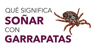 Que significa SONAR con GARRAPATAS Que significado tiene este sueno