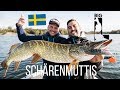 Das Paradies für Angler - Big L in Schweden auf Hecht in den Schären - Eriksberg