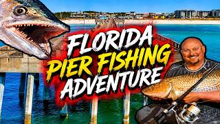 Fishing the piers of Panama city and Navarre! ( Huge guest stars! )