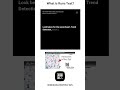 What is Runs Test