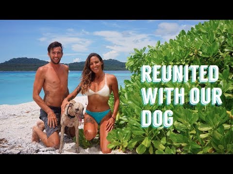 ⁣Importing our pet Whippet, Marley is Back!! Sailing Nandji, Ep 64