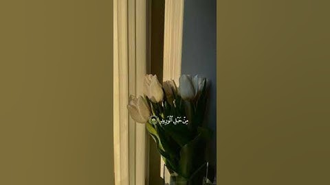 #ماتيسر_من سورة ق بصوت القارئ للشيخ  محمد هشام قناة القرآن الكريم الرسمية