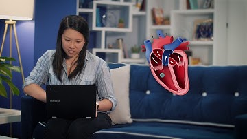 Introducing Quizlet Diagrams