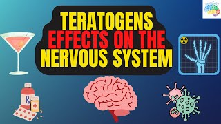 Teratogens Effects On The Nervous system