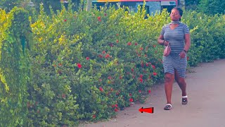 She held her bag tight! Bushman Prank!