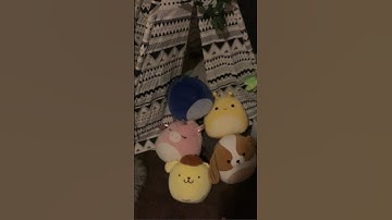 It is NOT an addiction, it IS a hobby! # #squishmallows #hobby #pillow